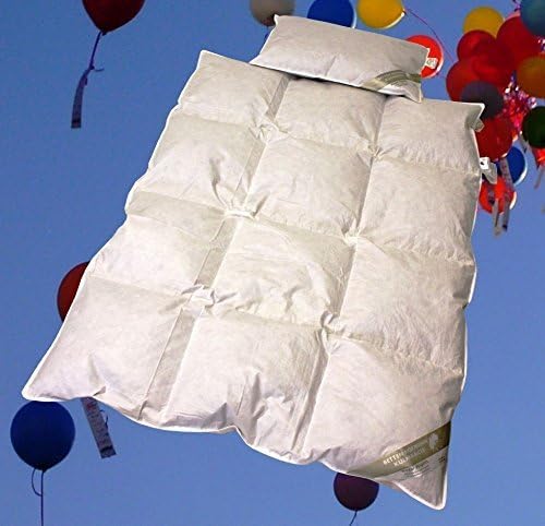 Betten Hofmann Baby Kinder Daunenbett Ganzjahresdecke Daunendecke Set 100x135 cm mit Kopfkissen 40x6