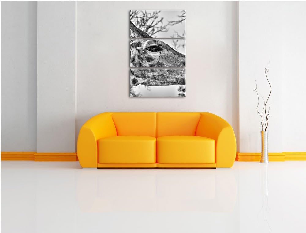Pixxprint anmutige Giraffe isst als Leinwandbild/Grösse: 3 Teilig (120x80) cm/Wandbild/Kunstdruck/fe