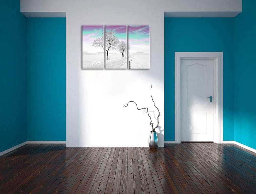 Schneebedeckter Baum in schöner Winterlandschaft schwarz/weiss 3-Teiler Leinwandbild 120x80 Bild auf