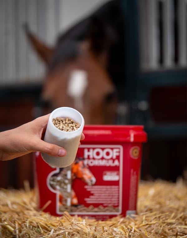 Kevin Bacon 5425023550304 Futterergänzungsmittel Hoof Formula zur Hufpflege 5 kg, 5 kg