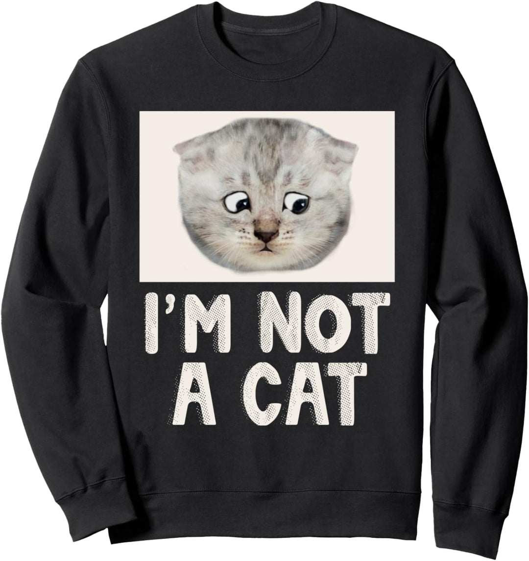 Lawyer Cat Filter I Am Here Live I Am Not A Cat Sad Eyes Fun Sweatshirt
