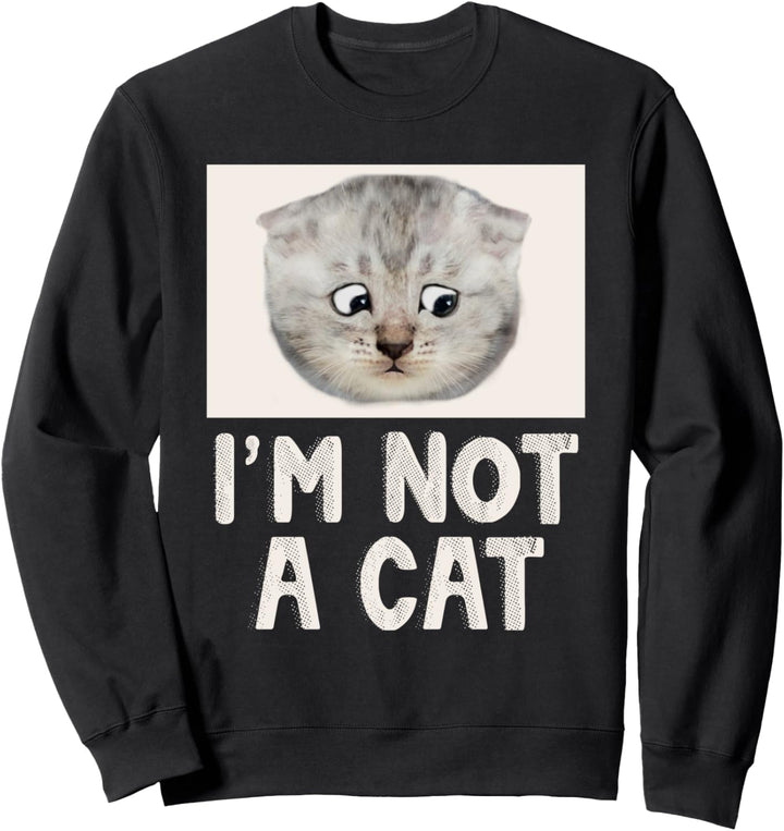Lawyer Cat Filter I Am Here Live I Am Not A Cat Sad Eyes Fun Sweatshirt