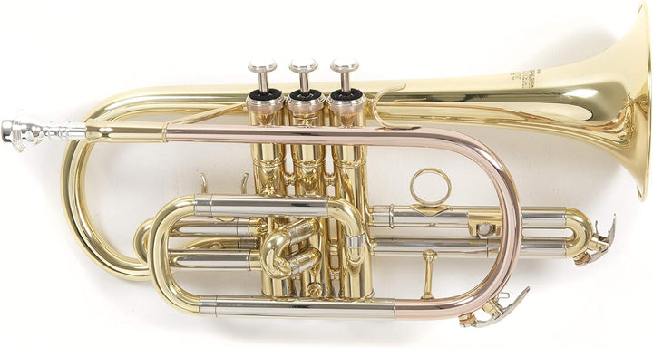 Roy Benson Bb Kornett MOD.CR-202 lackiert, inkl. Etui, gold, CR-202
