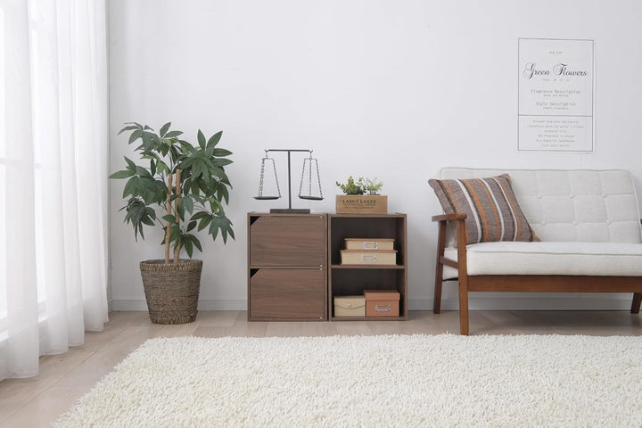 Iris Ohyama, Bücherregal, Möbel mit 2 Türen und 2 Regalen, Einfache Montage, Design, Modular, Büro,