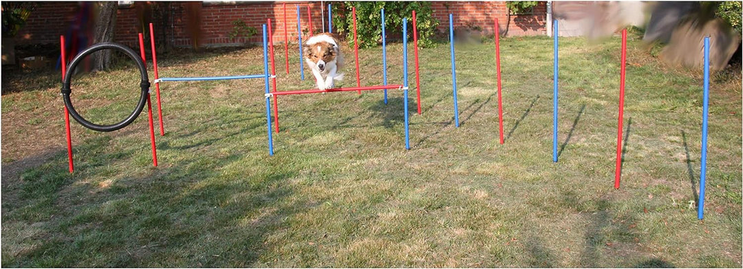 Wuzzmann Agility-ÜBUNGS-ANFÄNGER-Set BLAU/ROT SPRUNGRING/Slalom/HÜRDEN