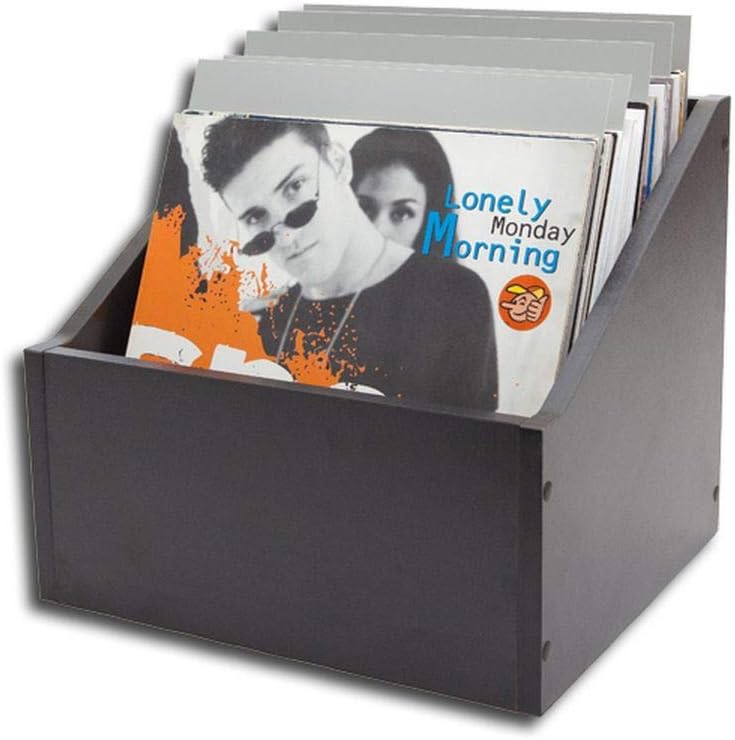 LP Schallplatten Registerwände grau Protected (25 Stück)