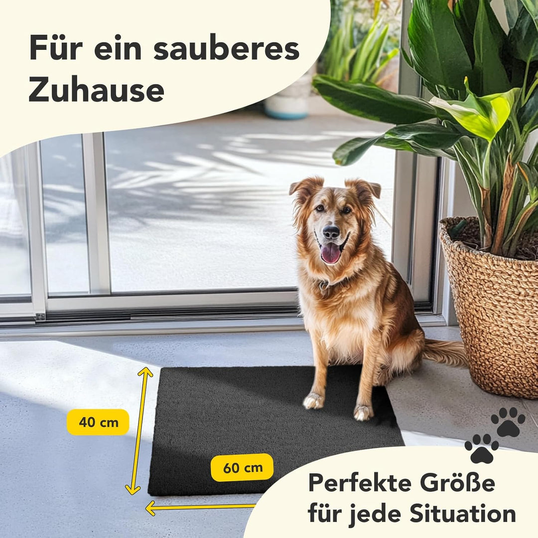 Floordirekt Fussmatte für Innen und Aussen, 40x60 cm Schwarz, Türmatte aus Kokos, Schmutzfangmatte f