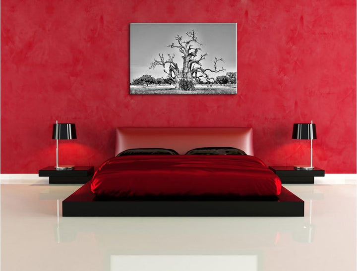 Pixxprint Monocrome, vertrockneter Baum in der Savanne, Format: 100x70 auf Leinwand, XXL riesige Bil