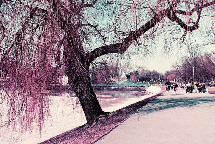 Lomochrome violett 35 mm ISO 100-400