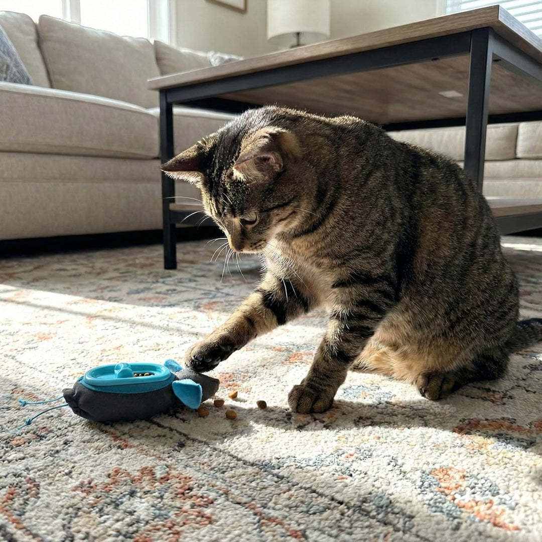 Doc & Phoebe Indoor Hunter Katzen Napf interaktiv einheitsgrösse Unterschiedlich
