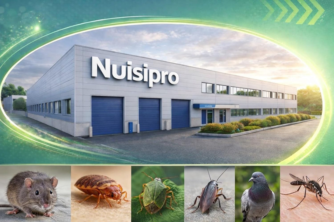 DALEP, 500 Stück Holzeinspritzdüsen Ø 9,5 mm – 609500, ohne Kopf, Hammer, für wasserabweisendes Holz