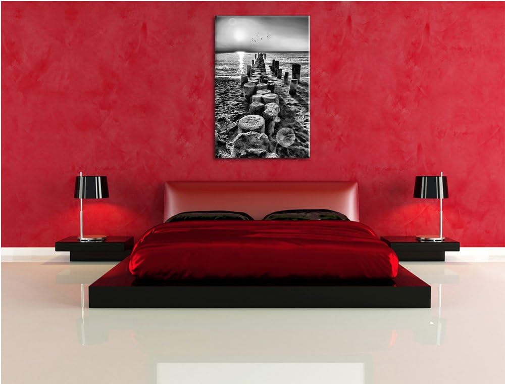 Pixxprint Baumstümpfe am Meer als Leinwandbild/Grösse: 100x70 cm/Wandbild/Kunstdruck/fertig bespannt