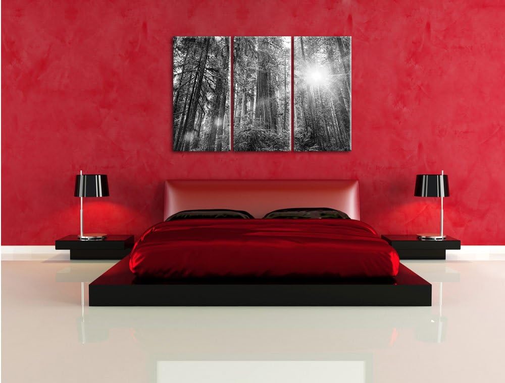 Pixxprint Wald bei Sonnenlicht / 3-Teilig/Gesamtmass 120cm Leinwandbild bespannt auf Holzrahmen/Wand