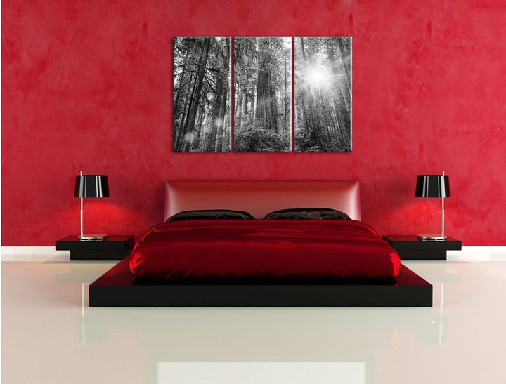 Pixxprint Wald bei Sonnenlicht / 3-Teilig/Gesamtmass 120cm Leinwandbild bespannt auf Holzrahmen/Wand
