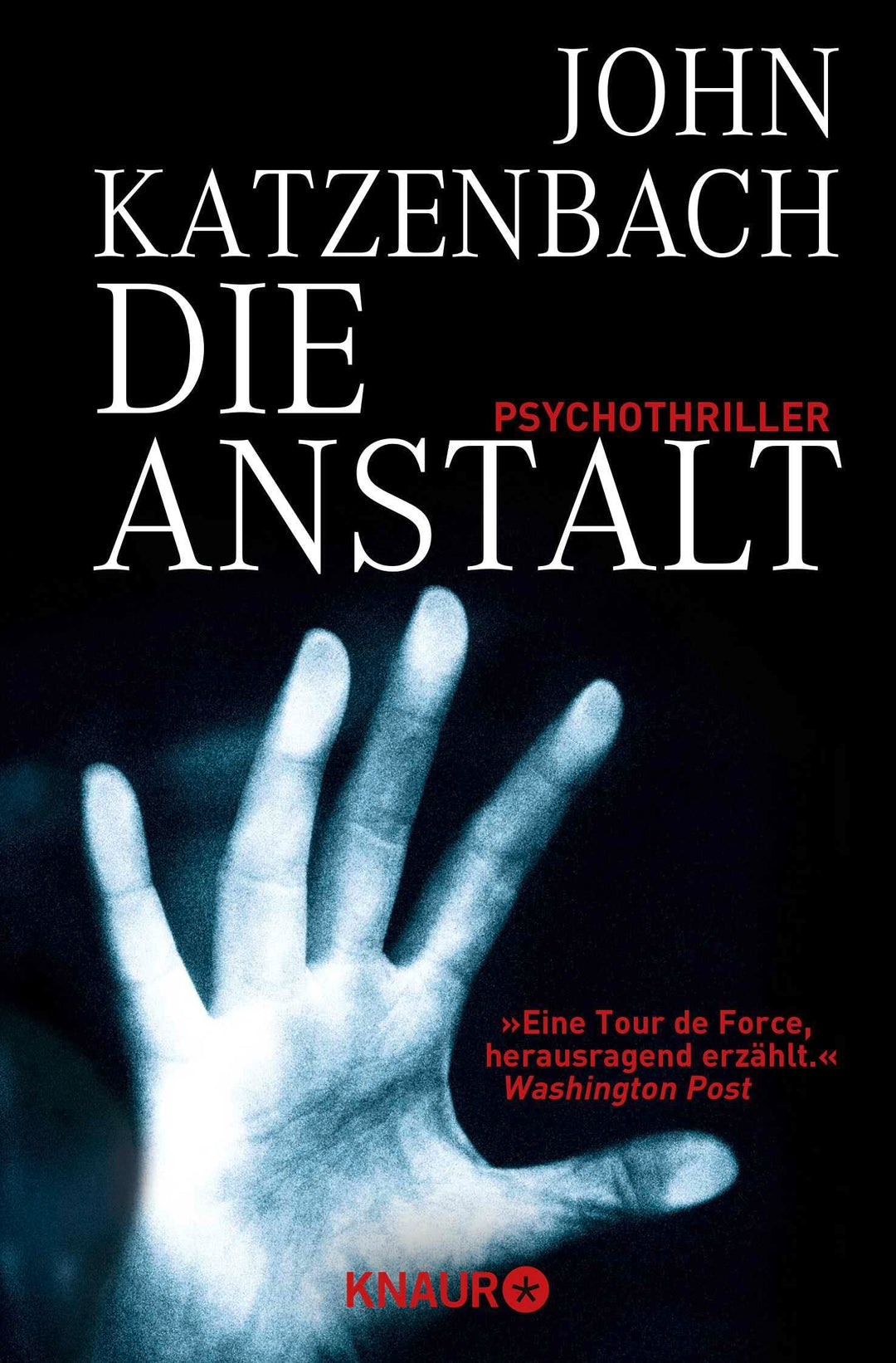 Die Anstalt: Psychothriller, Taschenbuch