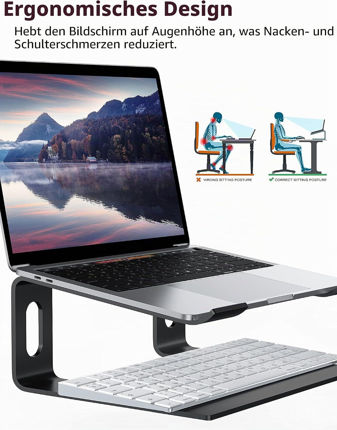 ALASHI Laptop-Ständer für Schreibtisch, Aluminium-Computer-Erhöhung, ergonomischer Notebook-Halter,