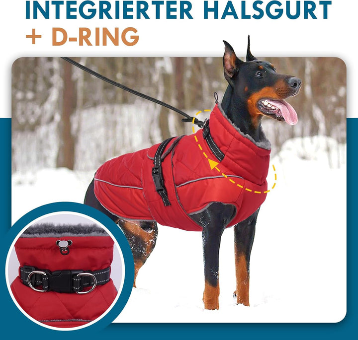 Katzinst Wintermantel Hund M, Wintermantel Hunde mit Hohem Kragen, Warmer Hundejacke mit D-Ring für