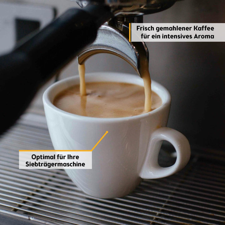 TZS First Austria Kaffeemühle & Milchaufschäumer 2 in 1 | 100 g / 100 ml | 2 Stufen | Edelstahl | 28
