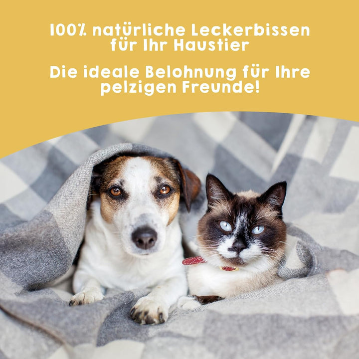MAIKAI Packung 3 Hundeleckerlis fur hünde aus getrocknetem Huhn in Streifen - Natürliche Hundesnacks