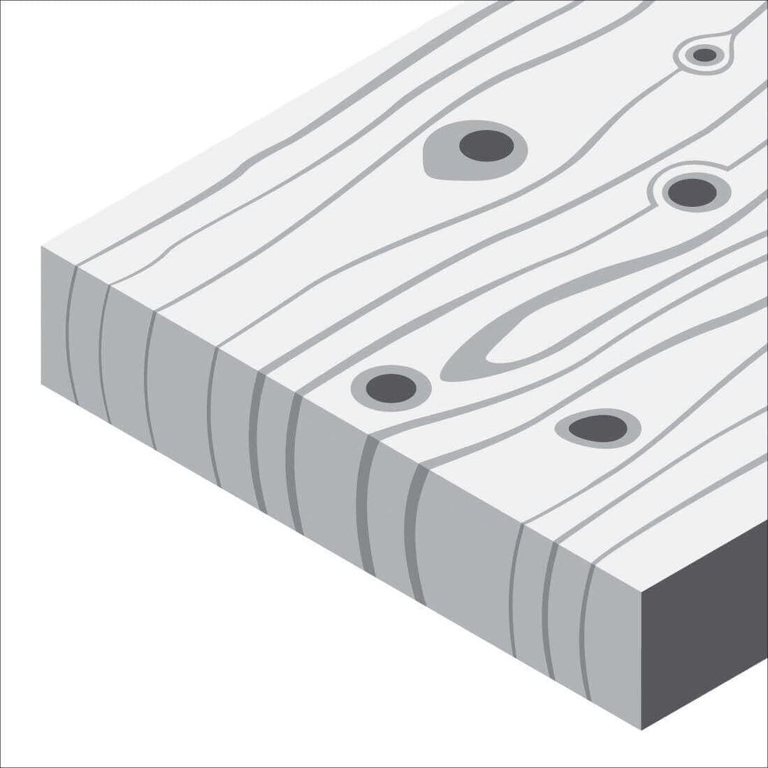Bosch Pro Schleifrolle Best for Wood and Paint für Holz und Farbe (115 mm, 50 m, Körnung 60, C470),
