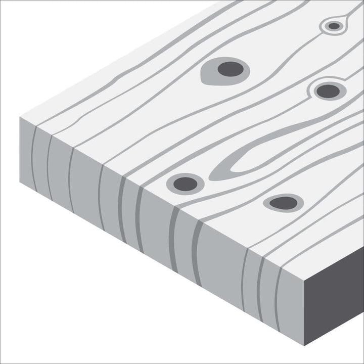 Bosch Pro Schleifrolle Best for Wood and Paint für Holz und Farbe (115 mm, 50 m, Körnung 60, C470),