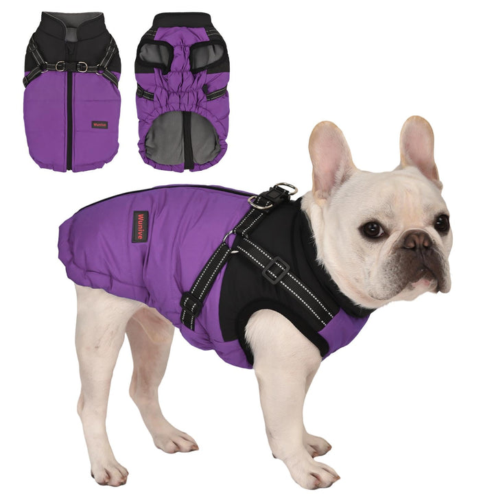 Hundemantel Hundejacke Winter Wasserdichter Hundemantel Kleiner Hundemantel Welpen Harness Hundemant