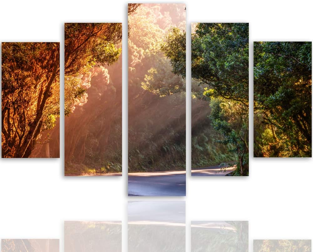 Feeby Wanddeko XXL Landschaft Leinwandbild 5 Teilig Weg Bäume Wald Natur bunt 100x70 cm Leinwandbild