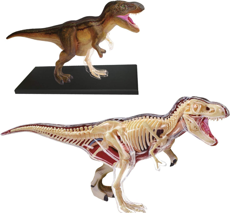 EXPLORA - T-Rex - Paläontologie - 546092 - Realistisches Modell mit 36 Teilen - Montageanleitung und