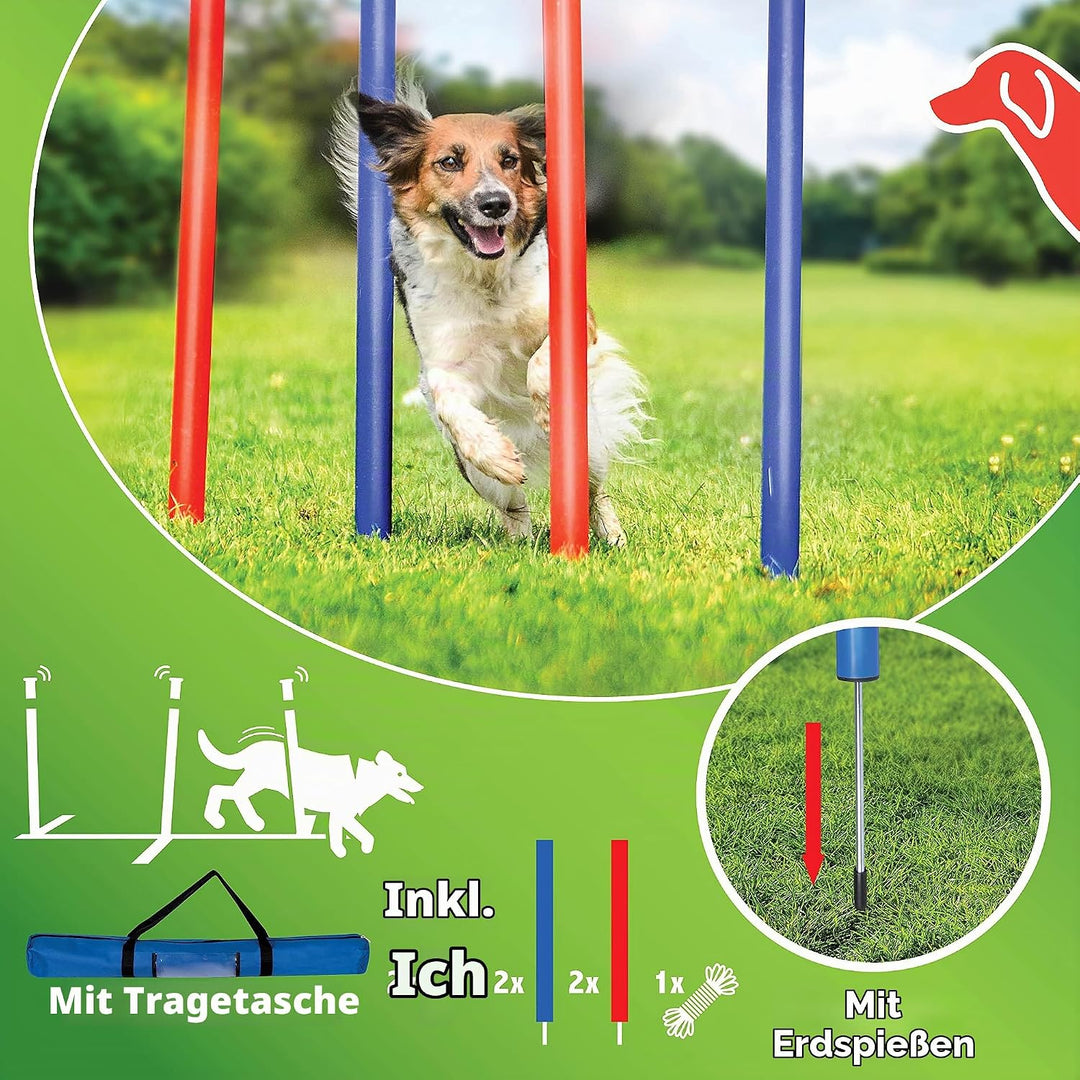 maxxpro Agility Slalom Set - Set Agility für Hunde - 60 x 3 cm - Kunststoff - Blau/Rot