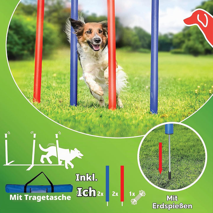 maxxpro Agility Slalom Set - Set Agility für Hunde - 60 x 3 cm - Kunststoff - Blau/Rot