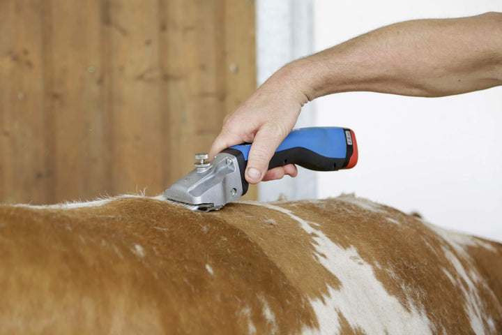 Aesculap GT644-BL-AA Grosstierschermaschine Bonum mit Torqui, Akku Schermaschine, Rind/ blau RINDER-