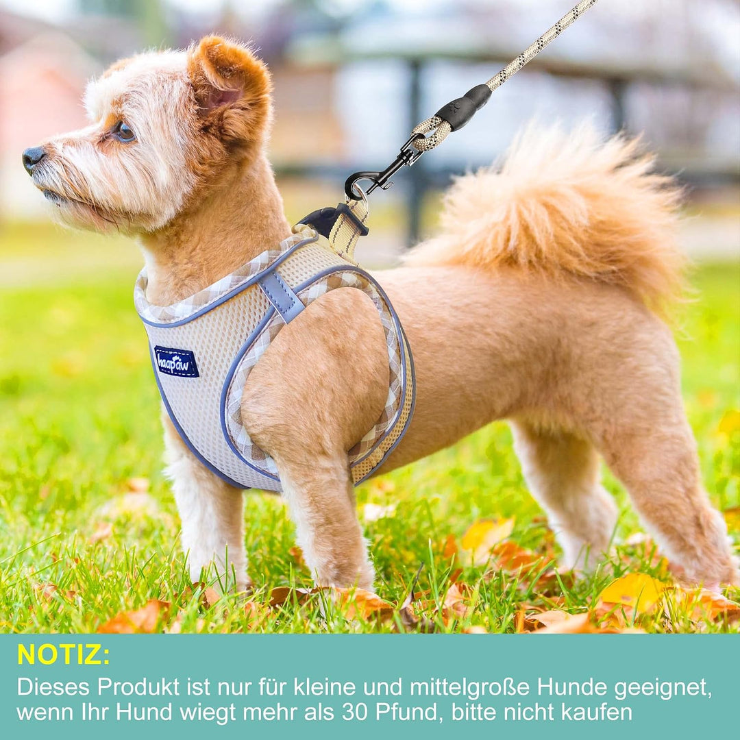 haapaw Hundegeschirr und Leine Set, kein Ziehen, verstellbares, reflektierendes Step-in-Welpengeschi