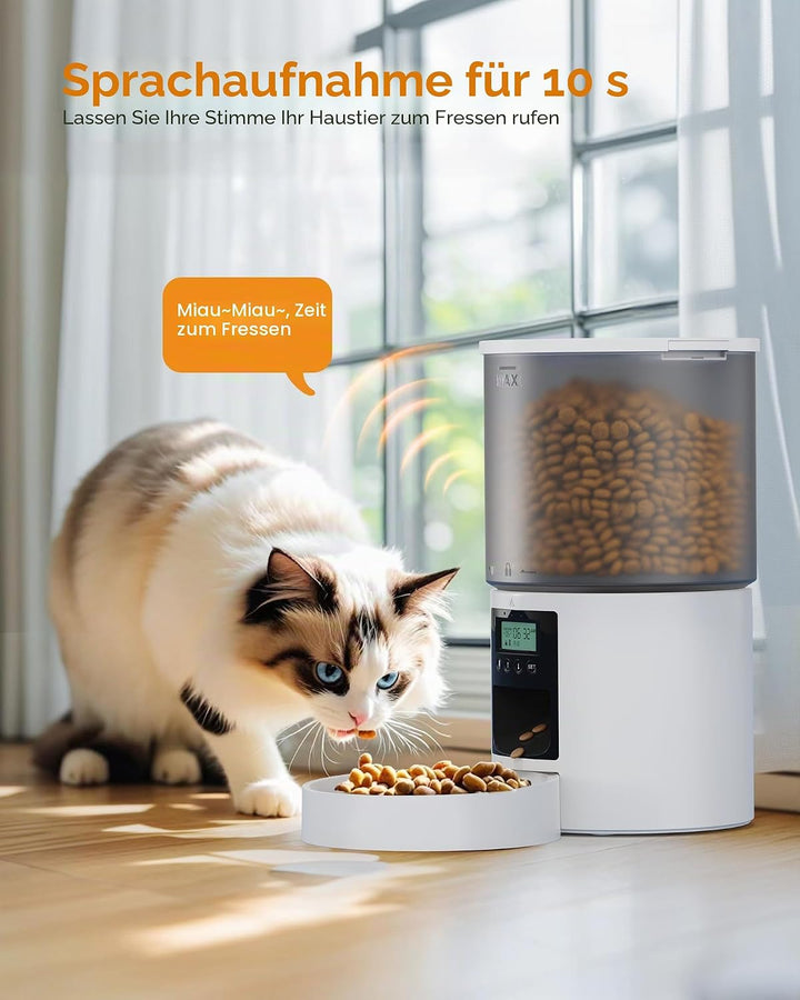 Futterautomat Katze Katzenfutter Automat mit Timer: Futternapf mit Automatic Futterautomat - 10s-Ruf