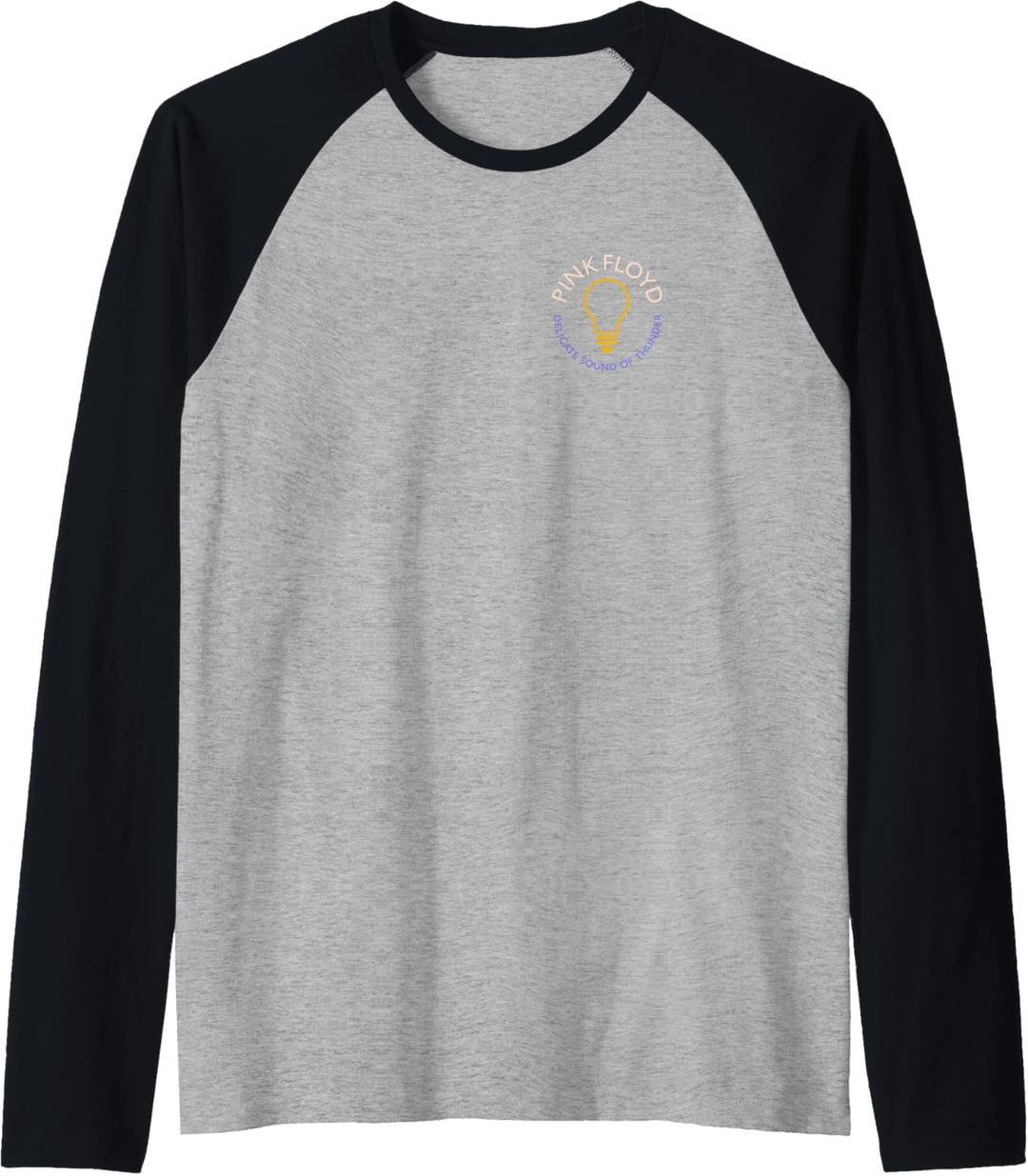 Pink Floyd Delicate Sound of Thunder Light Bulb Raglan
