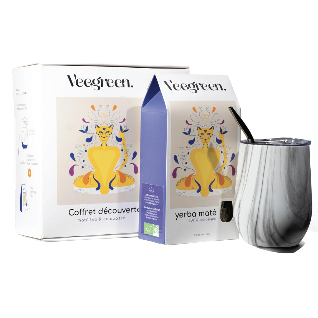 Set Tasse Yerba Maté | Argentinien | Kalebasse + Bombilla Strohhalm + Deckel | ideale Trinkflasche z