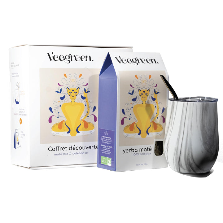 Set Tasse Yerba Maté | Argentinien | Kalebasse + Bombilla Strohhalm + Deckel | ideale Trinkflasche z