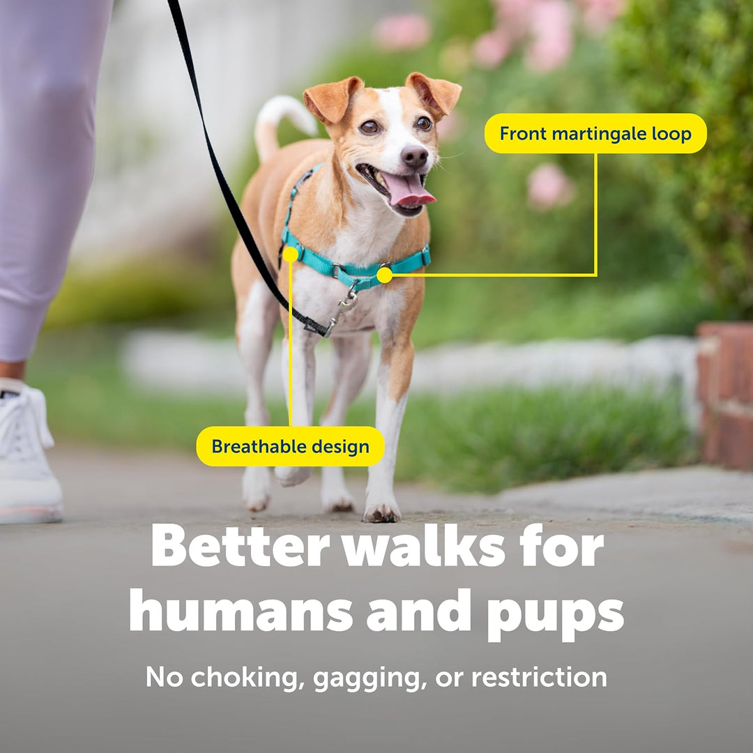 PetSafe, Easy Walk Hundegeschirr, das ultimative Geschirr gegen Ziehen bei Spaziergängen, übernimm d