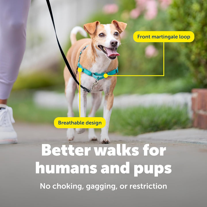 PetSafe, Easy Walk Hundegeschirr, das ultimative Geschirr gegen Ziehen bei Spaziergängen, übernimm d