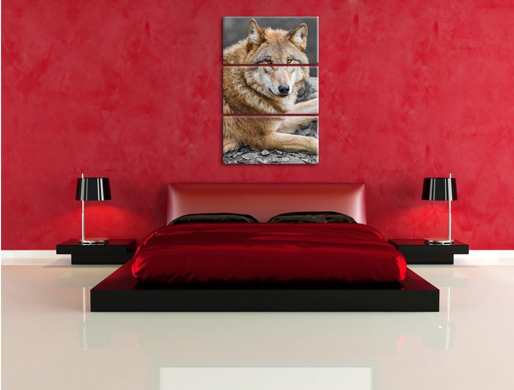 Pixxprint stolzer Wolf auf Stein als Leinwandbild/Grösse: 3 Teilig (120x80) cm/Wandbild/Kunstdruck/f