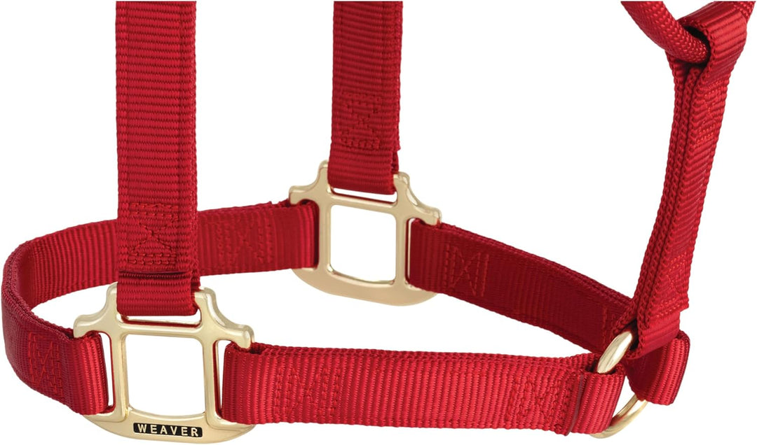 WEAVER Leather, Nicht verstellbares Halfter Rot/Ausflug, einfarbig (Getaway Solids) Average Horse, R