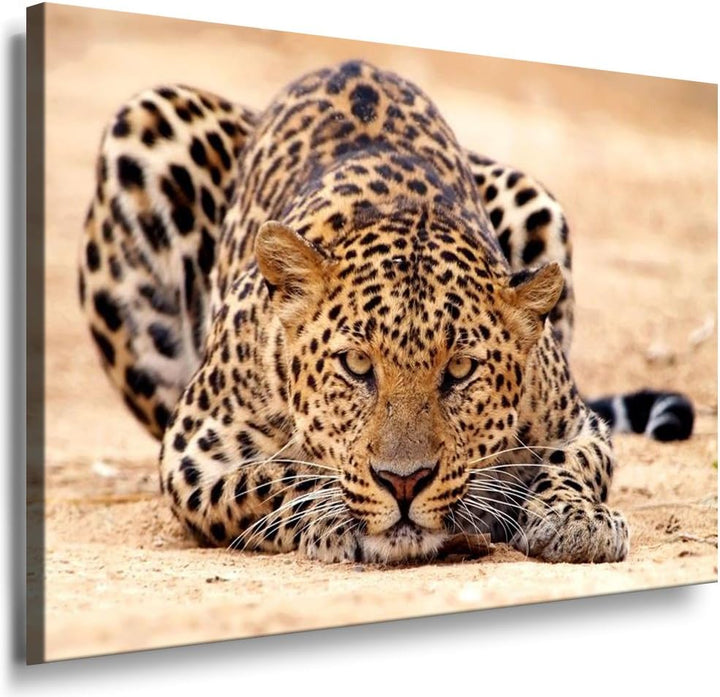 Julia-Art - Bilder Leopard Leinwand mit Keilrahmen 100 x 70 cm Leinwandbild XXL Wandbild Tiere Kunst