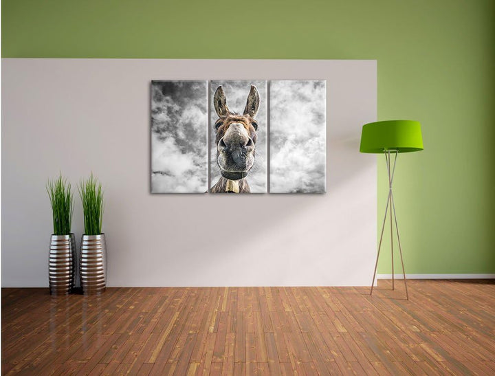 Pixxprint Lustiger Esel als Leinwandbild | Grösse: 3 Teilig (120x80) | Wandbild| Kunstdruck | fertig