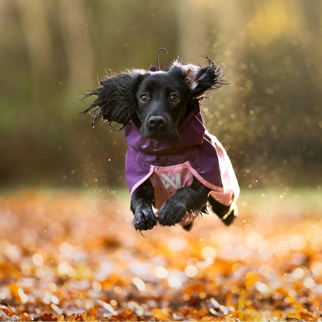 Non-Stop Dogwear Fjord Regenmantel 2.0, Schwarz/Orange, 55