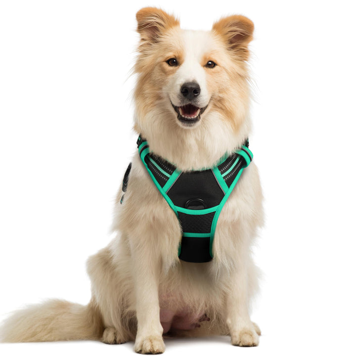 rabbitgoo Hundegeschirr Mittelgrosse Hunde, Anti Zug Geschirr mit Kontrolle, No Pull Verstellbar Hun