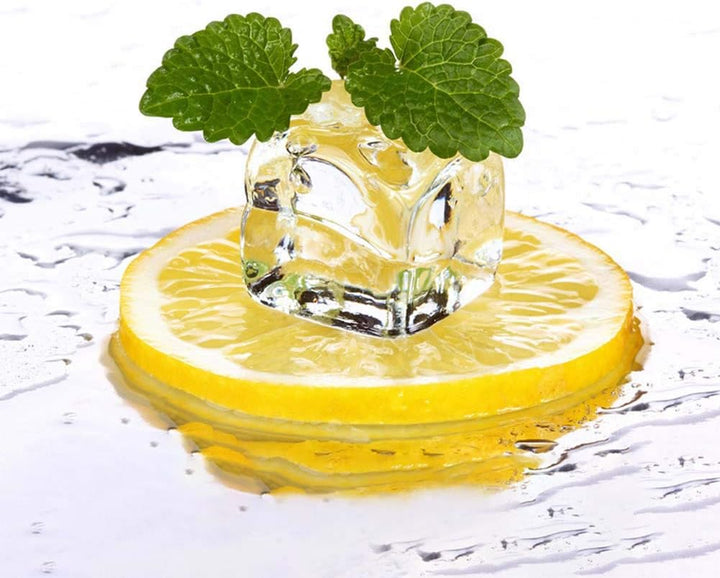 Künstliche Zitronenscheiben, realistische lebensechte Simulation Zitrone dekorativ künstliche Obst H