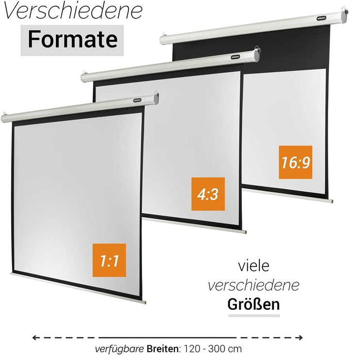 celexon Economy Motor-Leinwand 65" | 120x120 cm 1:1 | elektrische 4K,Full-HD Beamer-Leinwand für Bür