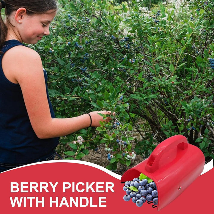 Beerenpflücker | mit Griff | Cranberry-Sammler | für Bauernhöfe, Bäume, Picknicks, Obstgärten, Gärte