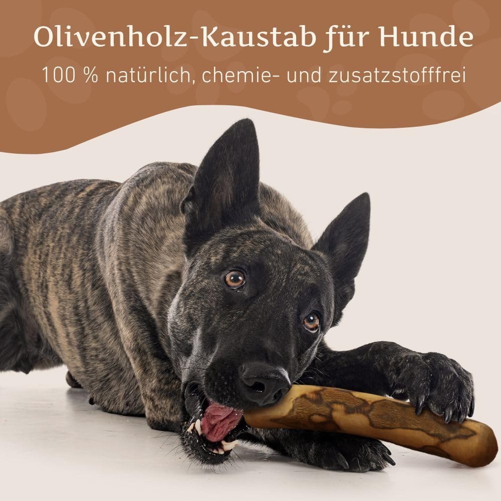 Wildfang® Olivenholz Kauholz für Hunde | Holzknochen Olivenholz | natürliches Kauspielzeug aus Olive