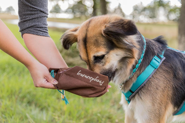 Trixie 32191 Dog Activity Preydummy, ø 6 × 14 cm, braun, Braun 6 × 14 cm