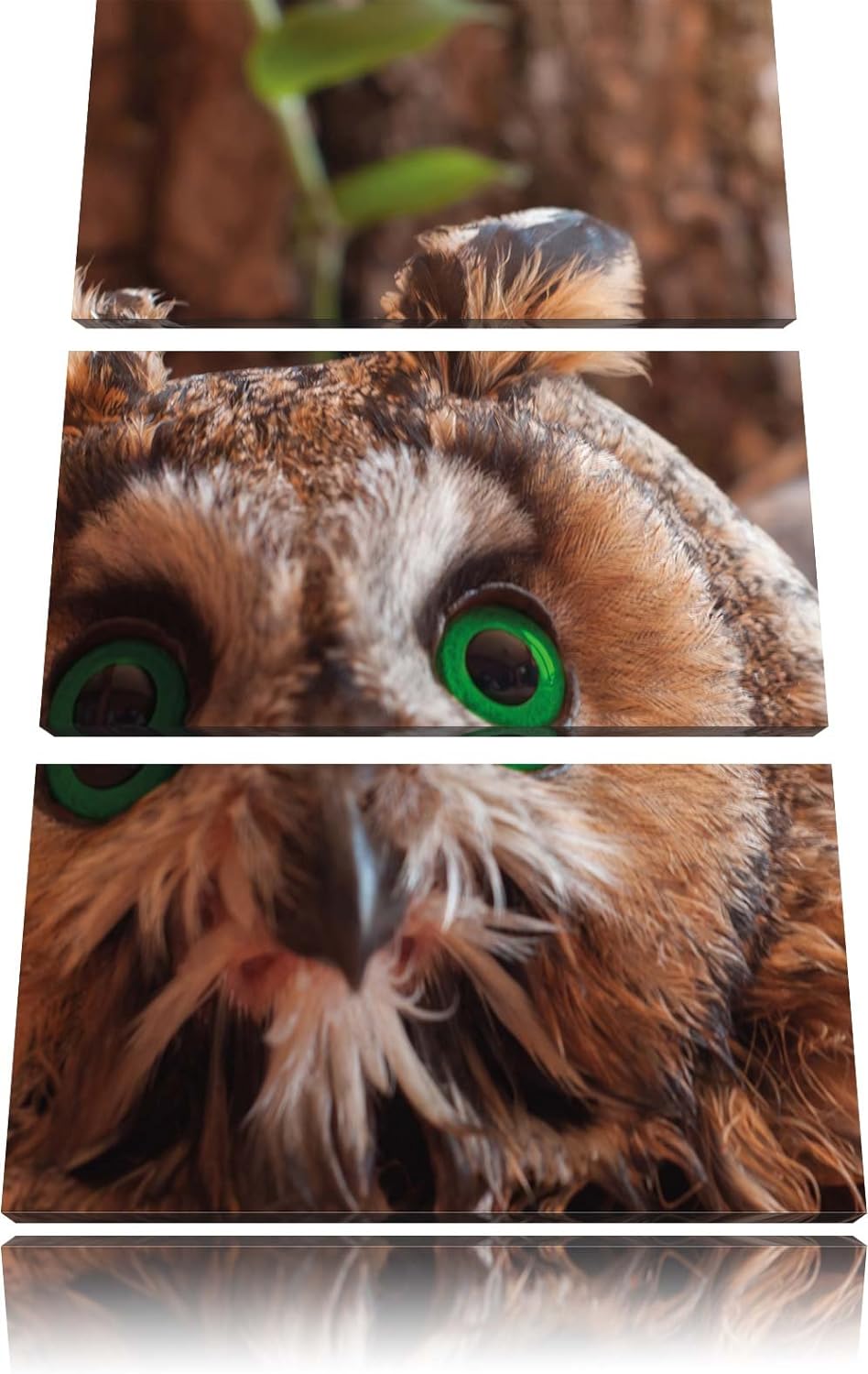 Pixxprint Kleine Eule grüne Augen als Leinwandbild/Grösse: 3 Teilig (120x80) cm/Wandbild/Kunstdruck/